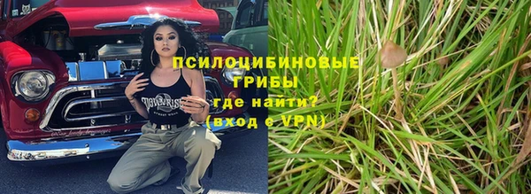 ГАЛЛЮЦИНОГЕННЫЕ ГРИБЫ Балахна