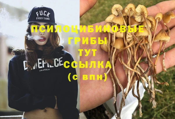 альфа пвп Беломорск