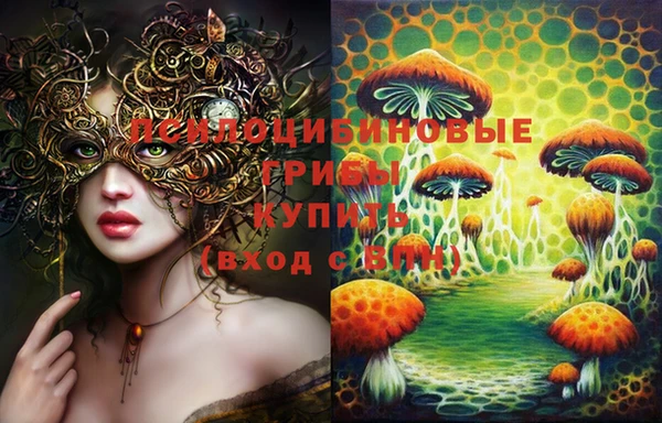 крисы Белокуриха