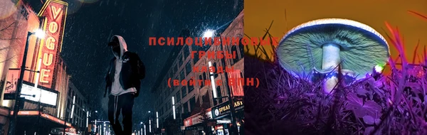 альфа пвп Беломорск