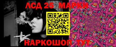 СК Кандалакша