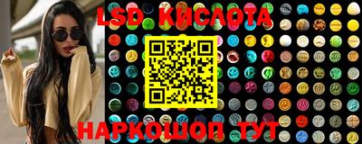 дживик Камышлов
