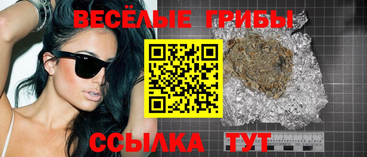 Кушва  Псилоцибиновые грибы Psilocybe  купить наркоту  Вход с VPN 